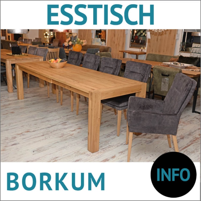 Esstisch Massivholz ausziehbar BORKUM, Wildeiche geölt, 160/ 258 x 90 cm mit 2 Klappeinlagen à 49 cm, Esszimmer Stühle ARLES, Bezug: Velour, Beine: Eiche natur, geölt