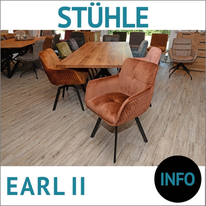 Stuhl EARL II, Esstisch Massivholz Platte APOLLO mit Untergestell KILIAN