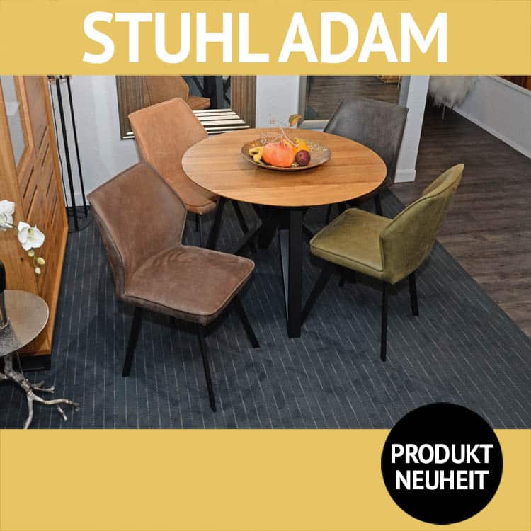 Esszimmerstuhl ADAM 4 verschiedene Farben