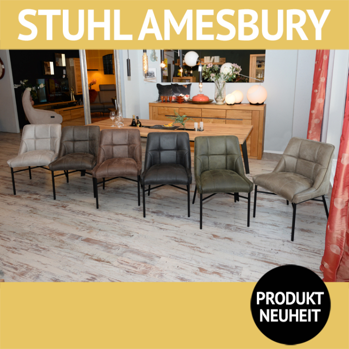 Stuhl AMESBURY, 6 verschiedene Farben Stuhl AMESBURY, 6 verschiedene Farben